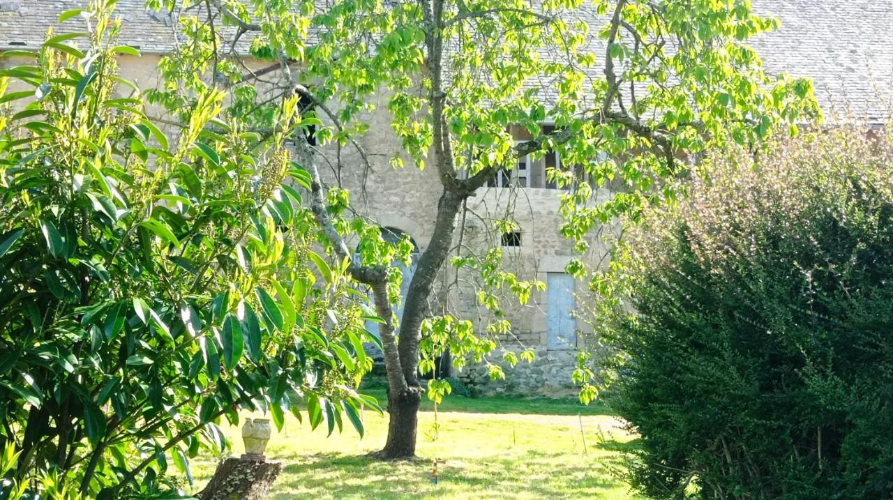 Maris Domus Pres Des Plages Du Debarquement Bayeux Eksteriør billede